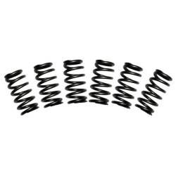 BD Diesel - BD Diesel Valve Spring Kit 60# Cummins 5.9 12-valve 1030060