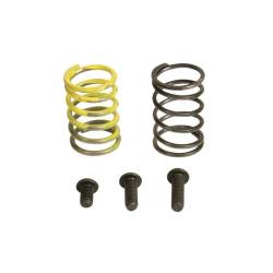 Industrial Injection - 94-98 DODGE 12 VALVE AFC SPRING KIT