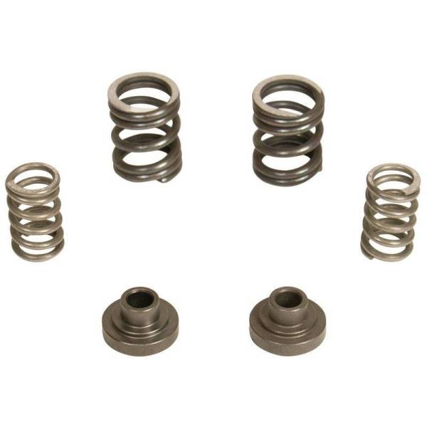 BD Diesel - BD Diesel P7100 Governor Spring Kit 3000rpm Dodge RAM 2500/3500 1994-1998 5.9L 12-Valve Engine