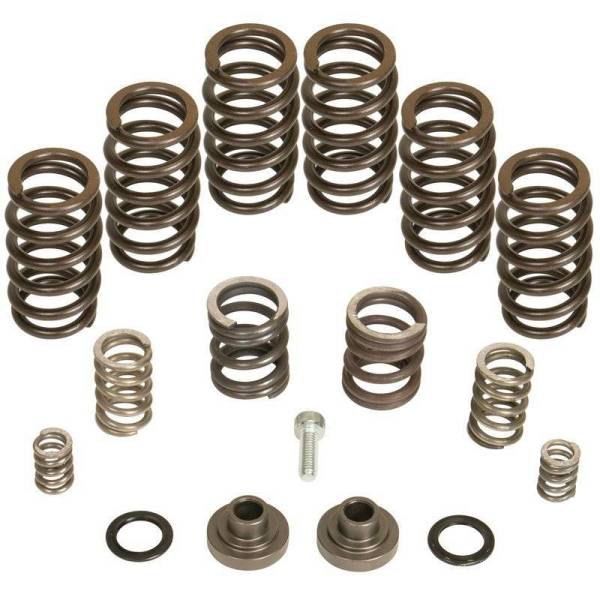 BD Diesel - BD Diesel P7100 Governor Spring Kit 4000rpm Dodge RAM 2500/3500 1994-1998 5.9L 12-Valve Engine