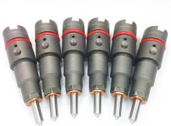 Fuel Injection & Parts - Injector Nozzles - Dynomite Diesel - Dodge 98.5-02 24v Injector Set 100hp Dynomite Diesel