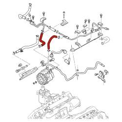 DMAXSTORE - DmaxStore CP3 Injection Pump Hose Kit for 2004.5-2005 LLY Duramax - Image 5