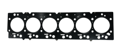 19-24 Cummins head gasket